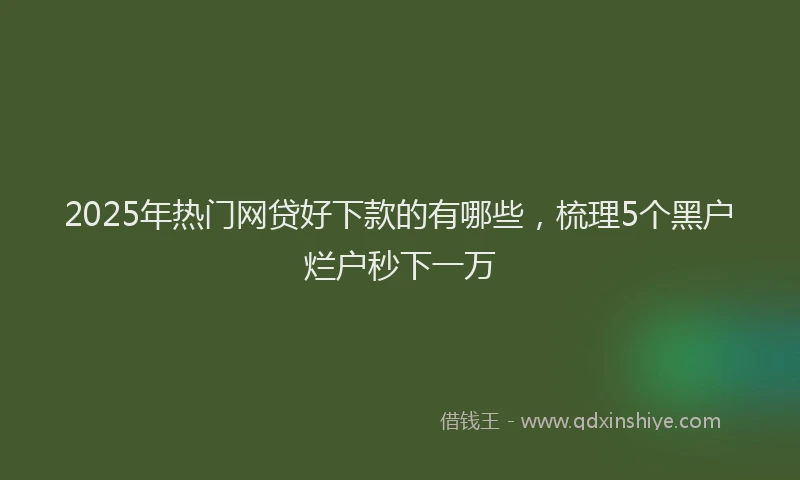 2025年热门网贷好下款的有哪些，梳理5个黑户烂户秒下一万
