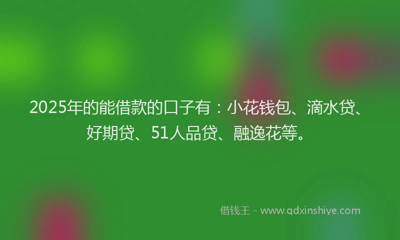 2025年的能借款的口子有：小花钱包、滴水贷、好期贷、51人品贷、融逸花等。