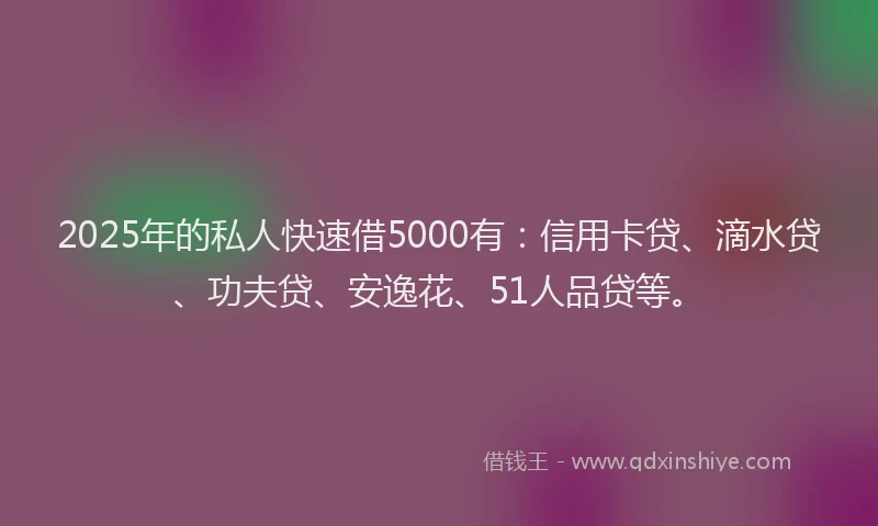 2025年的私人快速借5000有：信用卡贷、滴水贷、功夫贷、安逸花、51人品贷等。