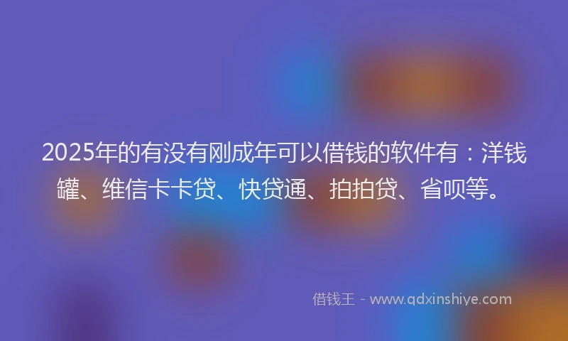 2025年的有没有刚成年可以借钱的软件有：洋钱罐、维信卡卡贷、快贷通、拍拍贷、省呗等。