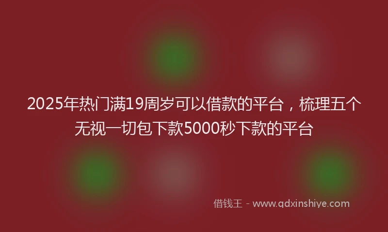 2025年热门满19周岁可以借款的平台，梳理五个无视一切包下款5000秒下款的平台