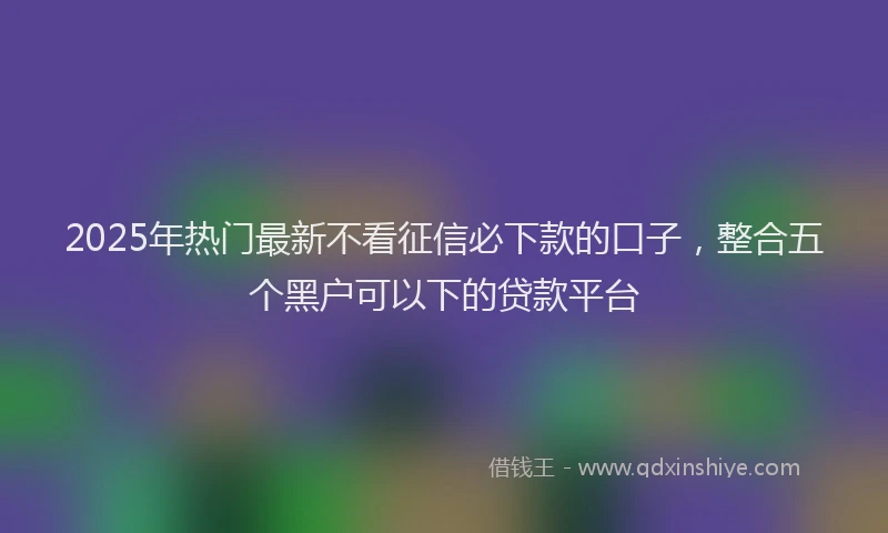 2025年热门最新不看征信必下款的口子，整合五个黑户可以下的贷款平台