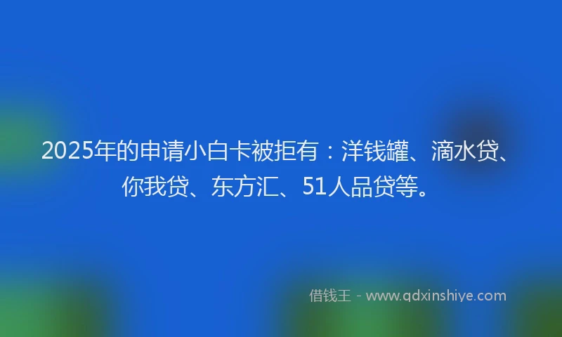 2025年的申请小白卡被拒有：洋钱罐、滴水贷、你我贷、东方汇、51人品贷等。