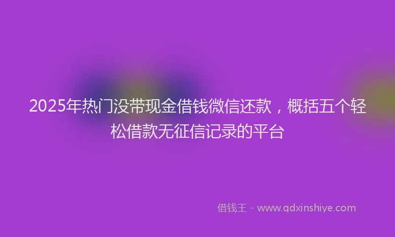 2025年热门没带现金借钱微信还款，概括五个轻松借款无征信记录的平台