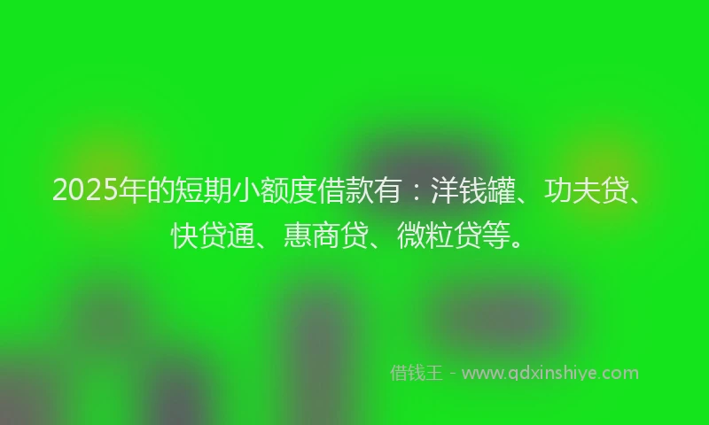 2025年的短期小额度借款有：洋钱罐、功夫贷、快贷通、惠商贷、微粒贷等。