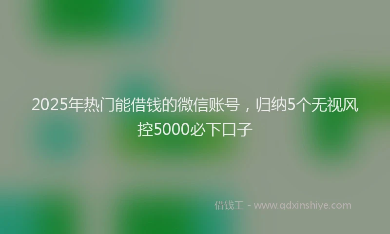 2025年热门能借钱的微信账号，归纳5个无视风控5000必下口子