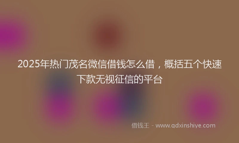 2025年热门茂名微信借钱怎么借，概括五个快速下款无视征信的平台