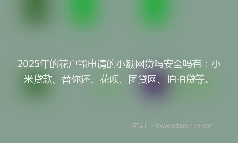 2025年的花户能申请的小额网贷吗安全吗有：小米贷款、替你还、花呗、团贷网、拍拍贷等。