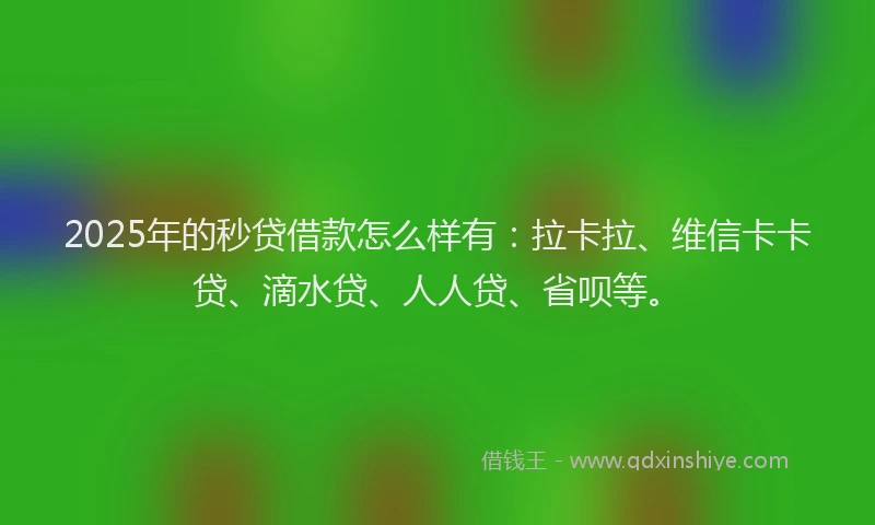 2025年的秒贷借款怎么样有：拉卡拉、维信卡卡贷、滴水贷、人人贷、省呗等。