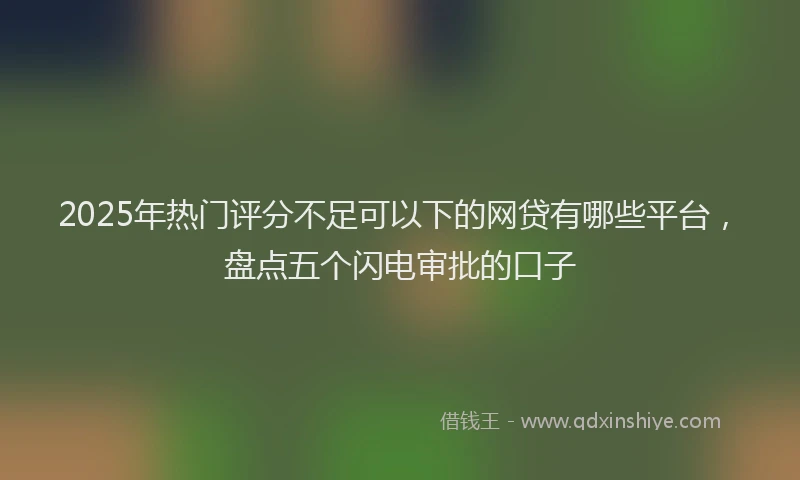 2025年热门评分不足可以下的网贷有哪些平台，盘点五个闪电审批的口子