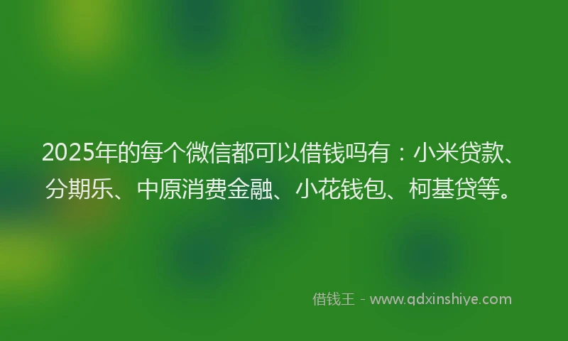 2025年的每个微信都可以借钱吗有：小米贷款、分期乐、中原消费金融、小花钱包、柯基贷等。