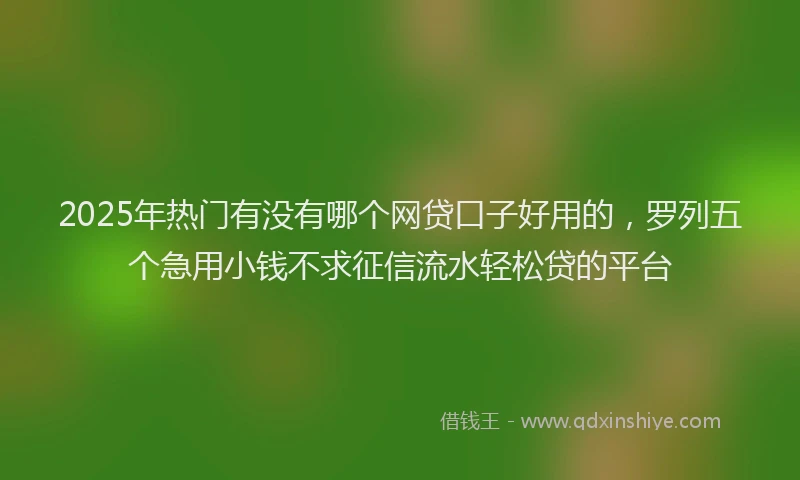 2025年热门有没有哪个网贷口子好用的，罗列五个急用小钱不求征信流水轻松贷的平台