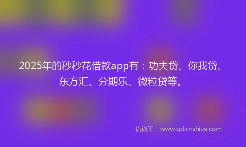 2025年的秒秒花借款app有：功夫贷、你我贷、东方汇、分期乐、微粒贷等。
