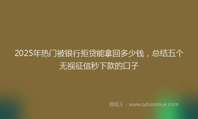 2025年热门被银行拒贷能拿回多少钱，总结五个无视征信秒下款的口子