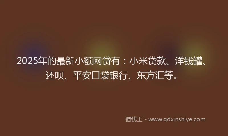 2025年的最新小额网贷有：小米贷款、洋钱罐、还呗、平安口袋银行、东方汇等。