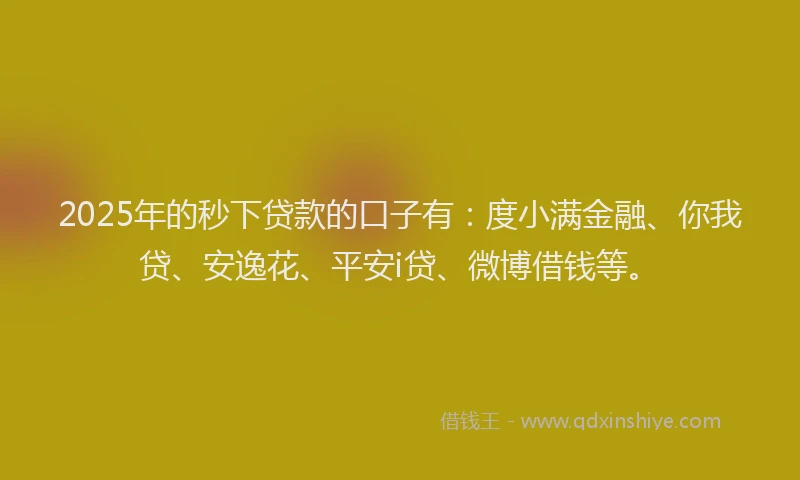 2025年的秒下贷款的口子有：度小满金融、你我贷、安逸花、平安i贷、微博借钱等。