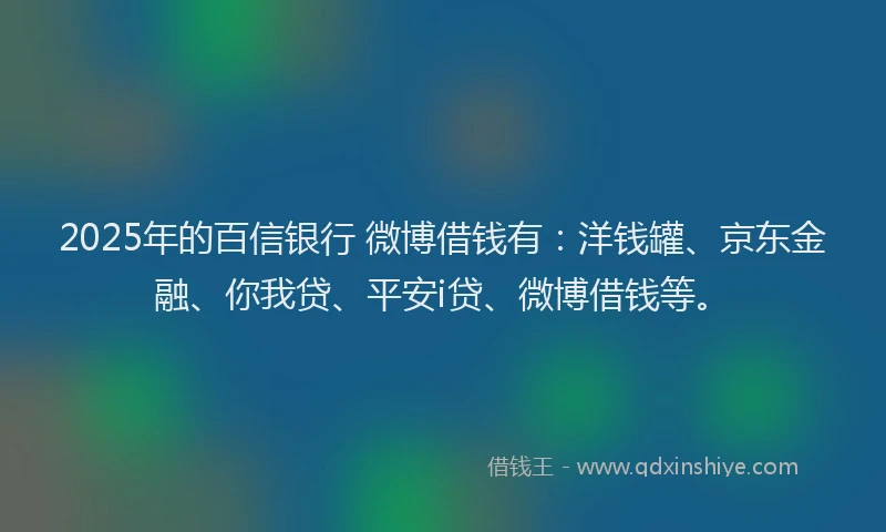 2025年的百信银行 微博借钱有：洋钱罐、京东金融、你我贷、平安i贷、微博借钱等。
