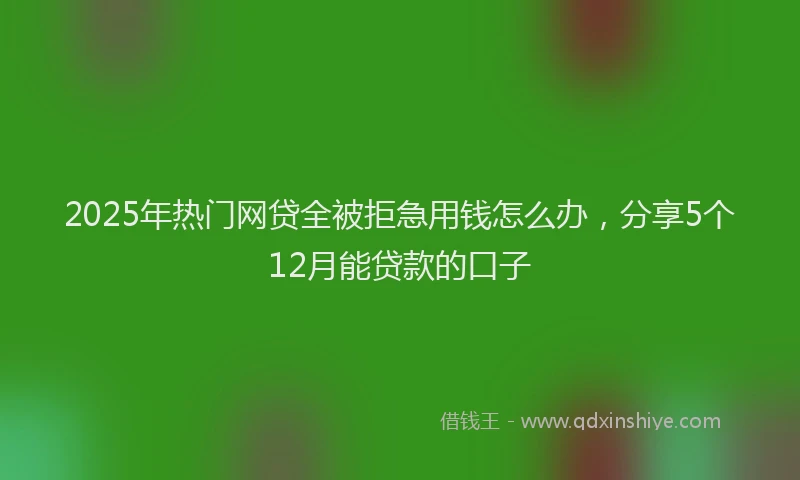 2025年热门网贷全被拒急用钱怎么办，分享5个12月能贷款的口子