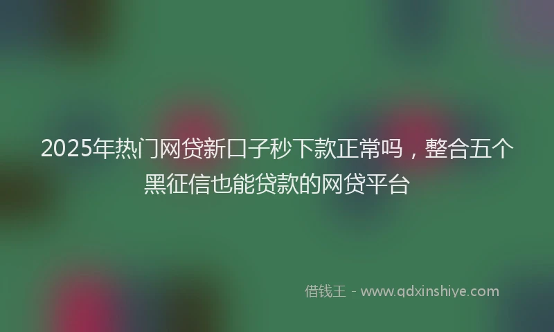 2025年热门网贷新口子秒下款正常吗，整合五个黑征信也能贷款的网贷平台
