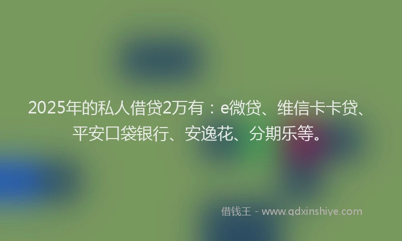 2025年的私人借贷2万有：e微贷、维信卡卡贷、平安口袋银行、安逸花、分期乐等。