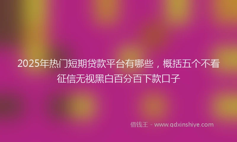 2025年热门短期贷款平台有哪些，概括五个不看征信无视黑白百分百下款口子