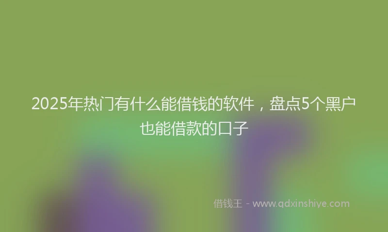 2025年热门有什么能借钱的软件，盘点5个黑户也能借款的口子