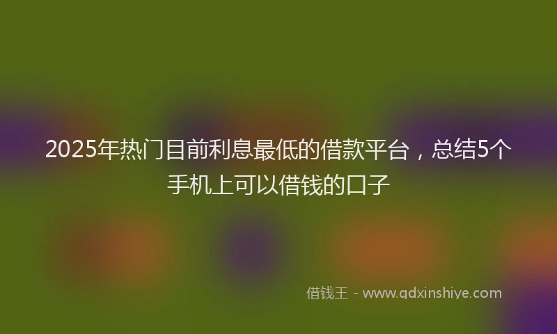 2025年热门目前利息最低的借款平台，总结5个手机上可以借钱的口子