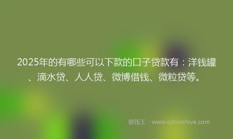 2025年的有哪些可以下款的口子贷款有：洋钱罐、滴水贷、人人贷、微博借钱、微粒贷等。