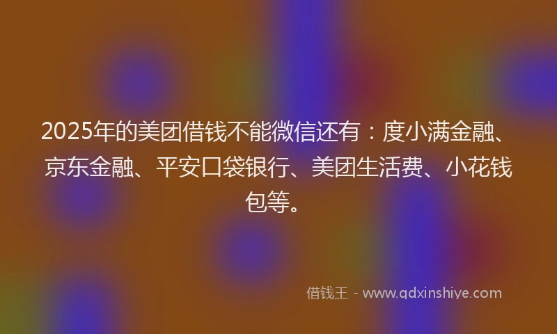 2025年的美团借钱不能微信还有：度小满金融、京东金融、平安口袋银行、美团生活费、小花钱包等。
