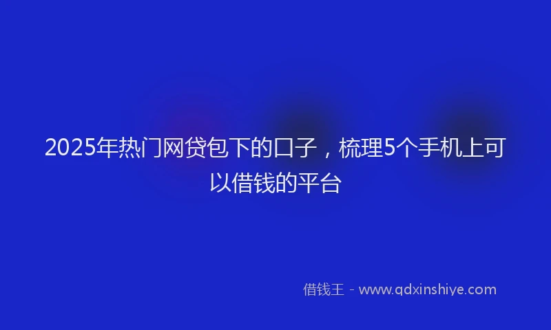 2025年热门网贷包下的口子，梳理5个手机上可以借钱的平台