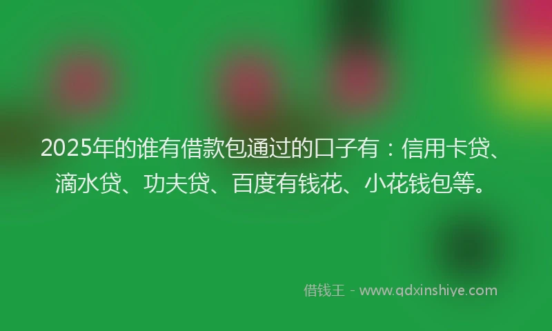 2025年的谁有借款包通过的口子有：信用卡贷、滴水贷、功夫贷、百度有钱花、小花钱包等。