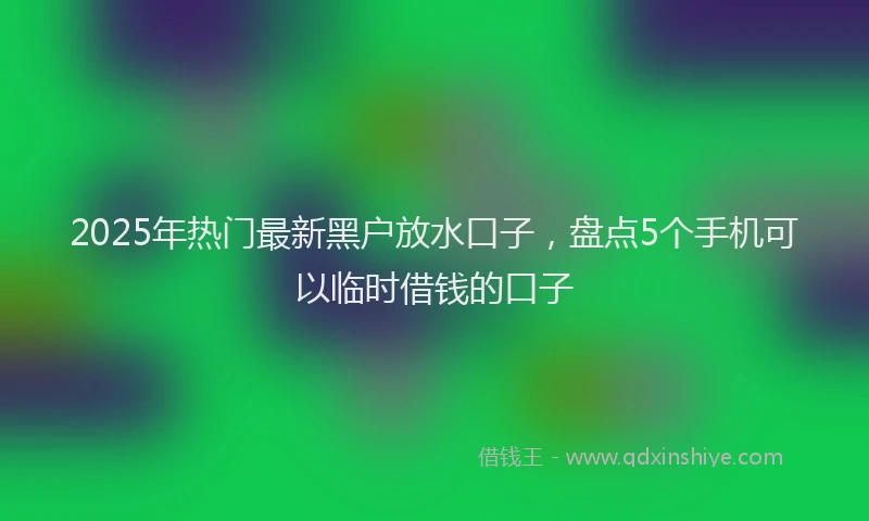 2025年热门最新黑户放水口子，盘点5个手机可以临时借钱的口子