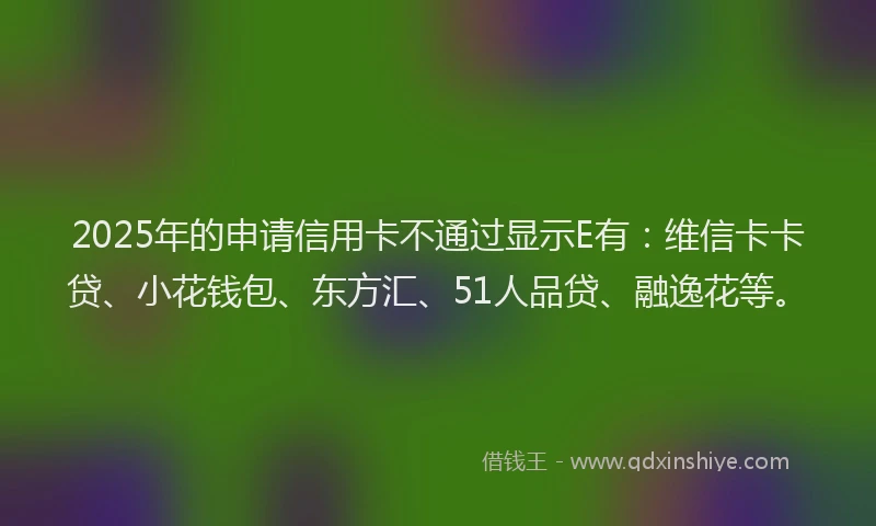 2025年的申请信用卡不通过显示E有：维信卡卡贷、小花钱包、东方汇、51人品贷、融逸花等。