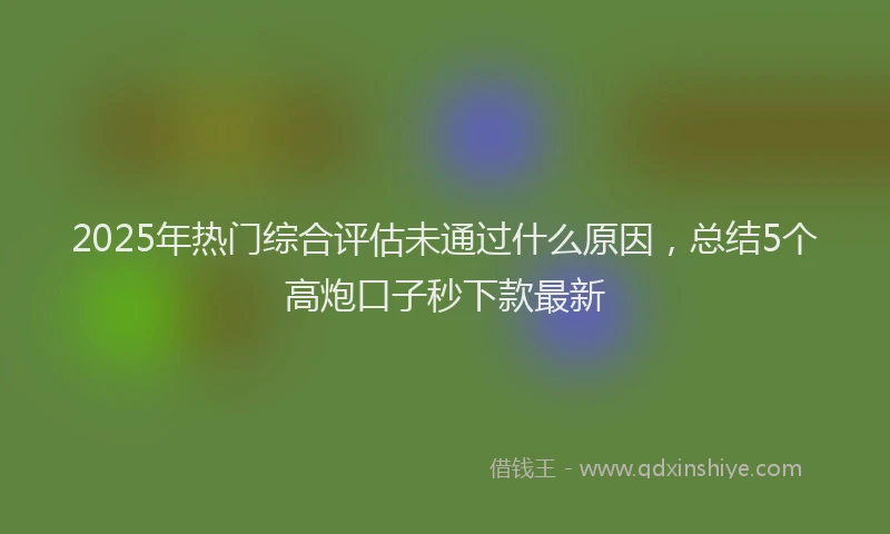 2025年热门综合评估未通过什么原因，总结5个高炮口子秒下款最新