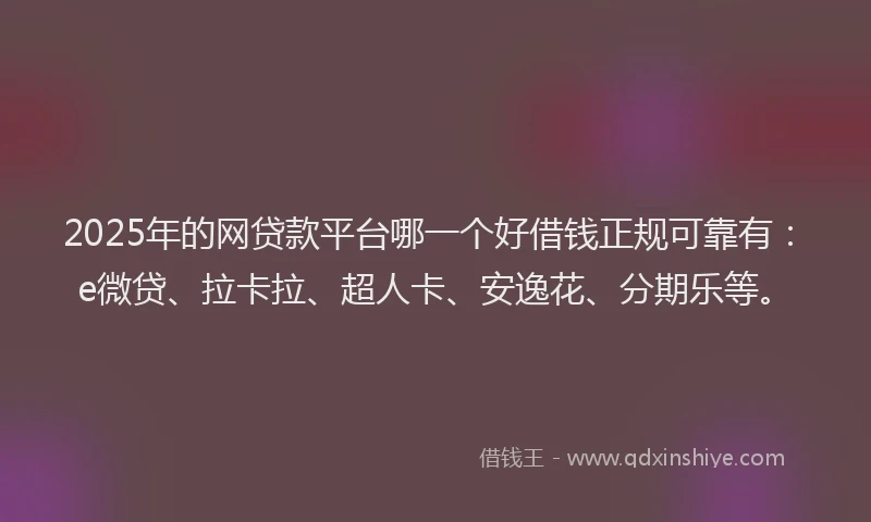 2025年的网贷款平台哪一个好借钱正规可靠有：e微贷、拉卡拉、超人卡、安逸花、分期乐等。
