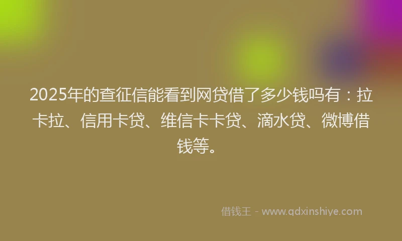 2025年的查征信能看到网贷借了多少钱吗有：拉卡拉、信用卡贷、维信卡卡贷、滴水贷、微博借钱等。