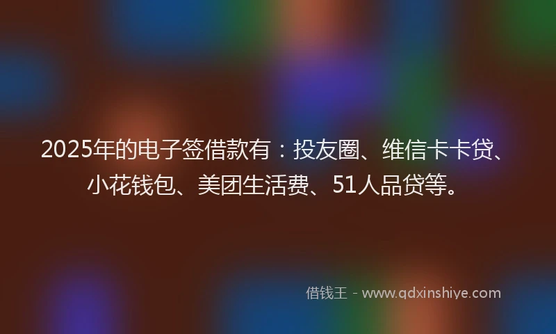 2025年的电子签借款有：投友圈、维信卡卡贷、小花钱包、美团生活费、51人品贷等。