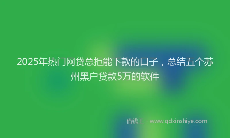 2025年热门网贷总拒能下款的口子，总结五个苏州黑户贷款5万的软件