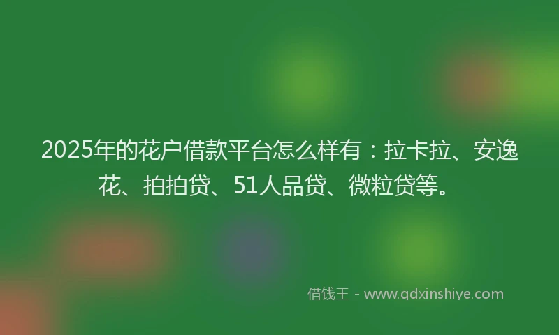 2025年的花户借款平台怎么样有：拉卡拉、安逸花、拍拍贷、51人品贷、微粒贷等。