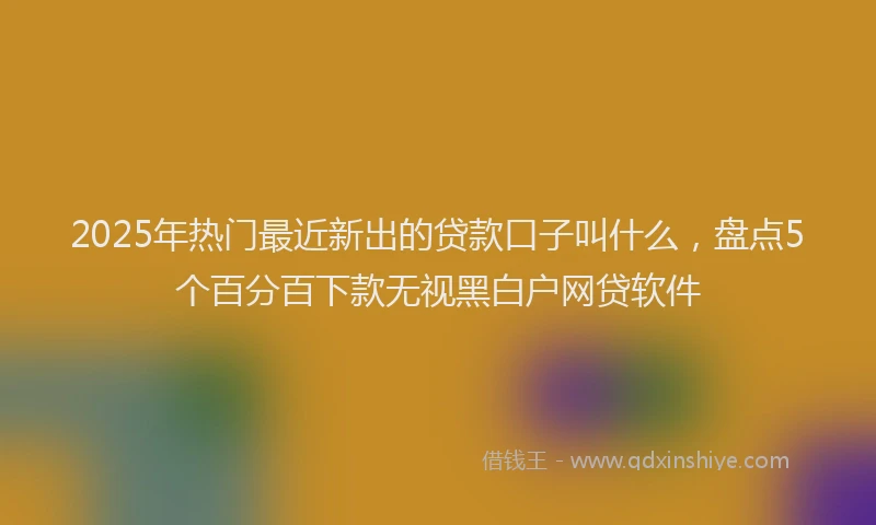 2025年热门最近新出的贷款口子叫什么，盘点5个百分百下款无视黑白户网贷软件