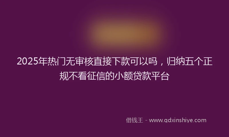 2025年热门无审核直接下款可以吗，归纳五个正规不看征信的小额贷款平台