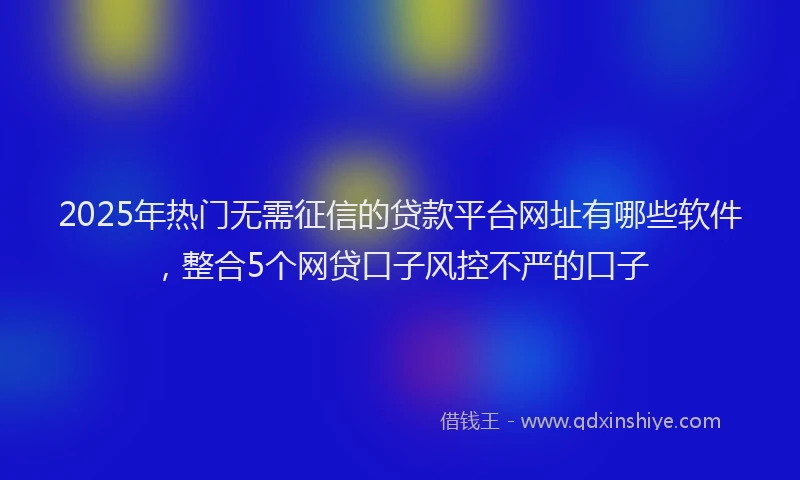 2025年热门无需征信的贷款平台网址有哪些软件，整合5个网贷口子风控不严的口子