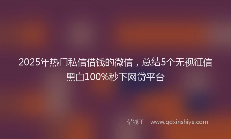 2025年热门私信借钱的微信，总结5个无视征信黑白100%秒下网贷平台