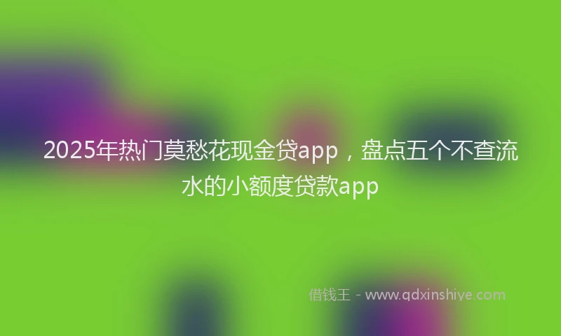 2025年热门莫愁花现金贷app，盘点五个不查流水的小额度贷款app