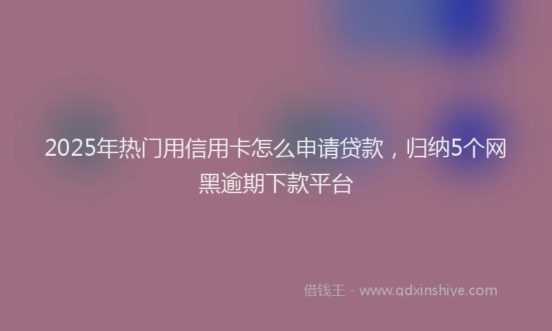 2025年热门用信用卡怎么申请贷款，归纳5个网黑逾期下款平台