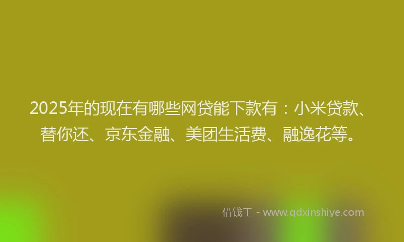 2025年的现在有哪些网贷能下款有：小米贷款、替你还、京东金融、美团生活费、融逸花等。