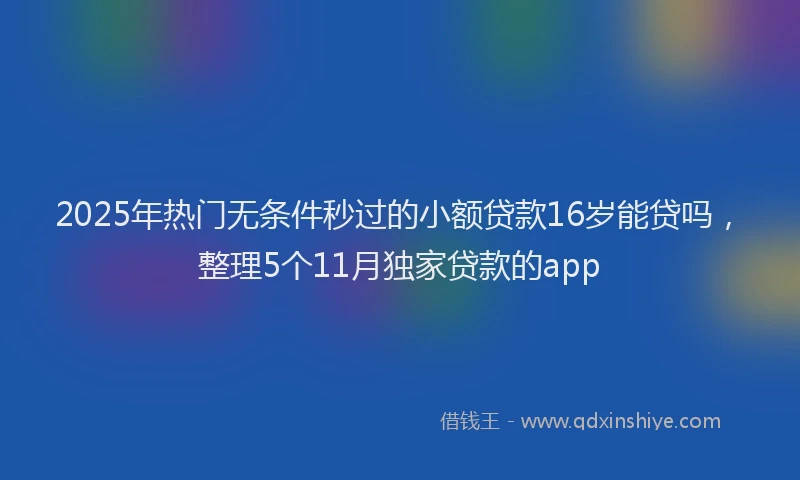 2025年热门无条件秒过的小额贷款16岁能贷吗，整理5个11月独家贷款的app
