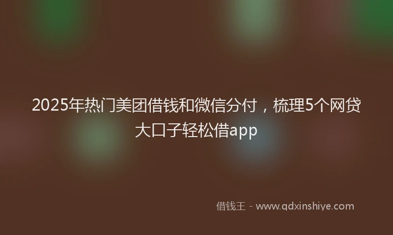 2025年热门美团借钱和微信分付，梳理5个网贷大口子轻松借app