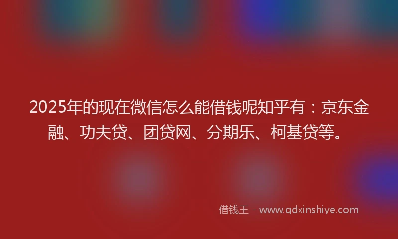 2025年的现在微信怎么能借钱呢知乎有：京东金融、功夫贷、团贷网、分期乐、柯基贷等。