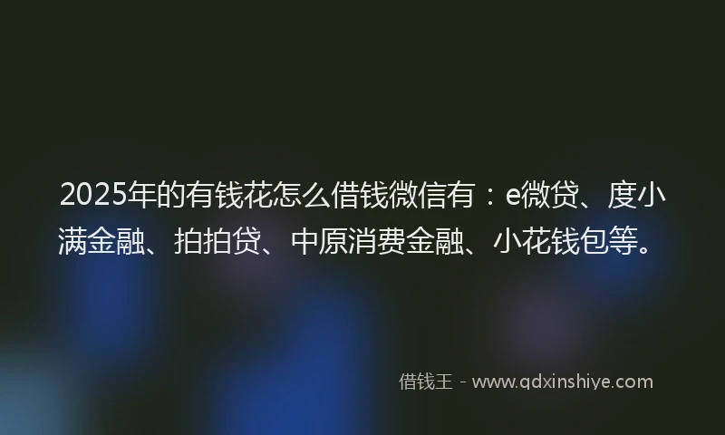 2025年的有钱花怎么借钱微信有：e微贷、度小满金融、拍拍贷、中原消费金融、小花钱包等。